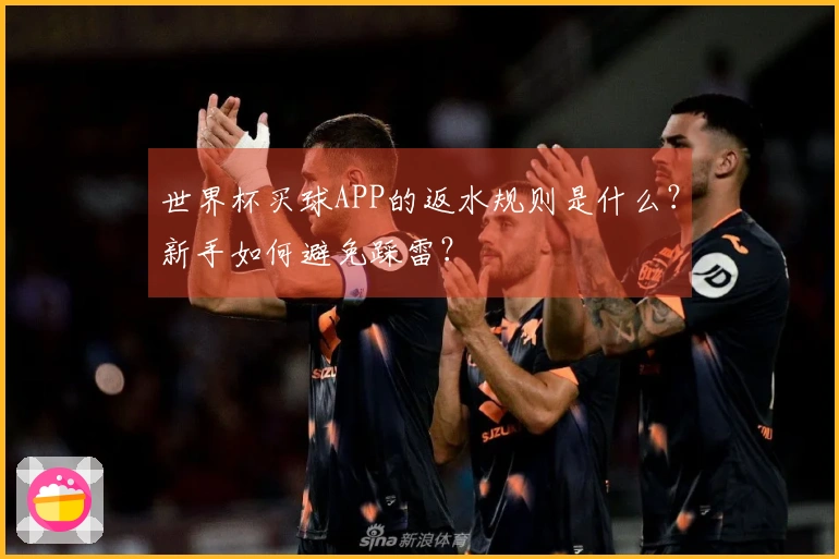 世界杯买球APP的返水规则是什么？新手如何避免踩雷？