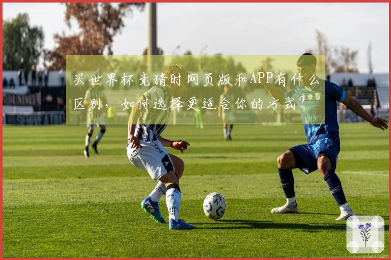 买世界杯竞猜时网页版和APP有什么区别，如何选择更适合你的方式？