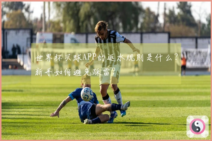 世界杯买球APP的返水规则是什么？新手如何避免踩雷？